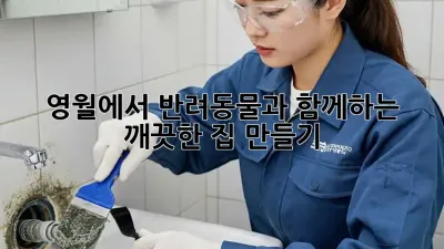 영월에서 반려동물과 함께하는 깨끗한 집 만들기