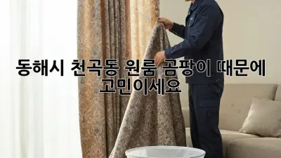 동해시 천곡동 원룸, 곰팡이 때문에 고민이세요?